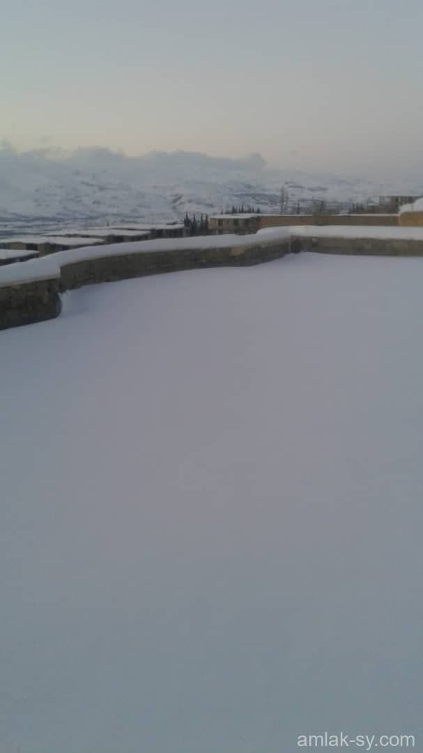 صورة 26