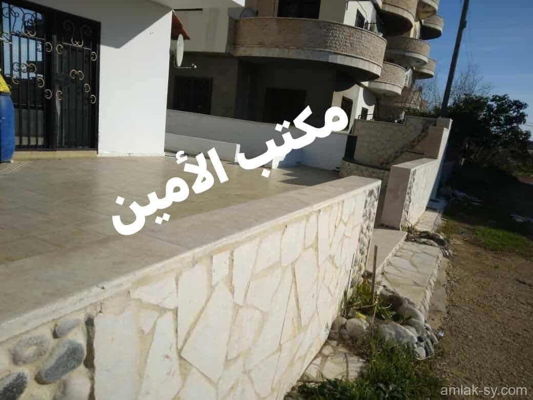صورة 4