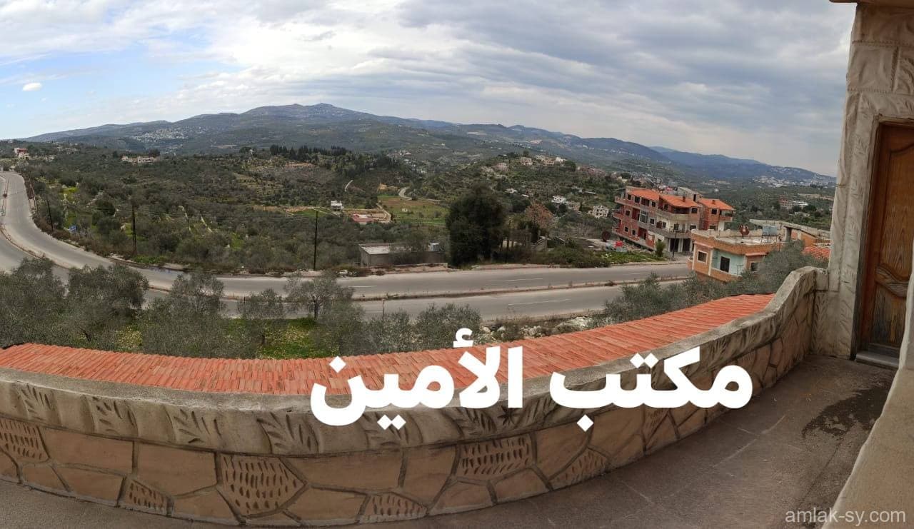 صورة 4