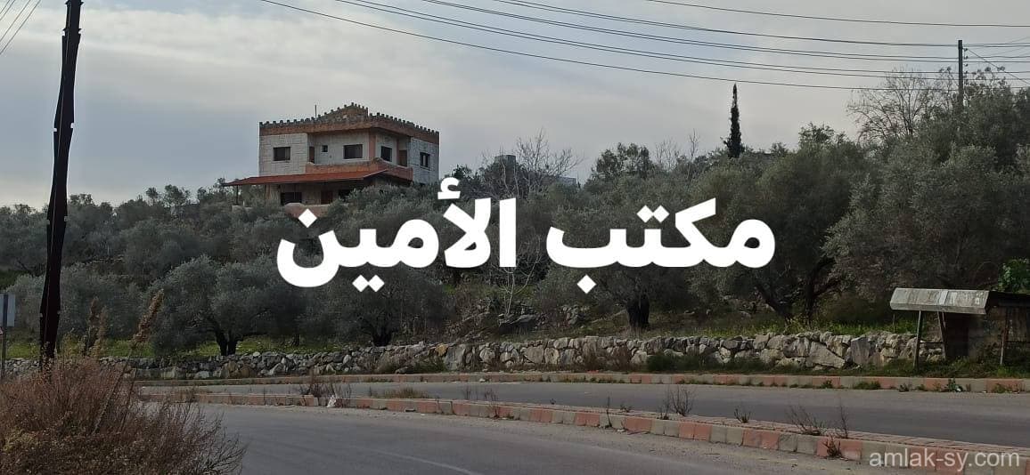 صورة 2