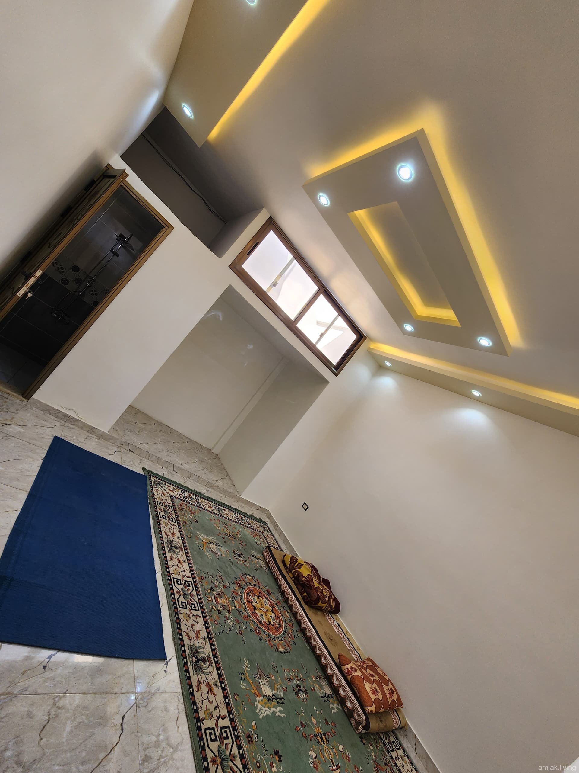صورة العقار