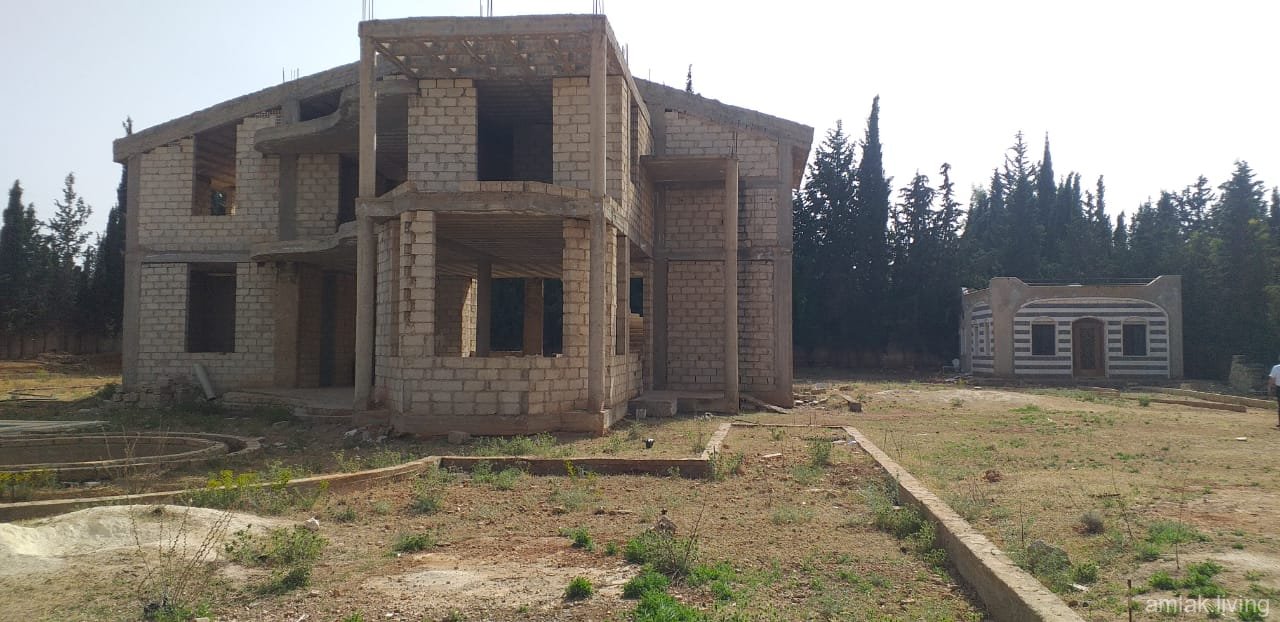 صورة العقار