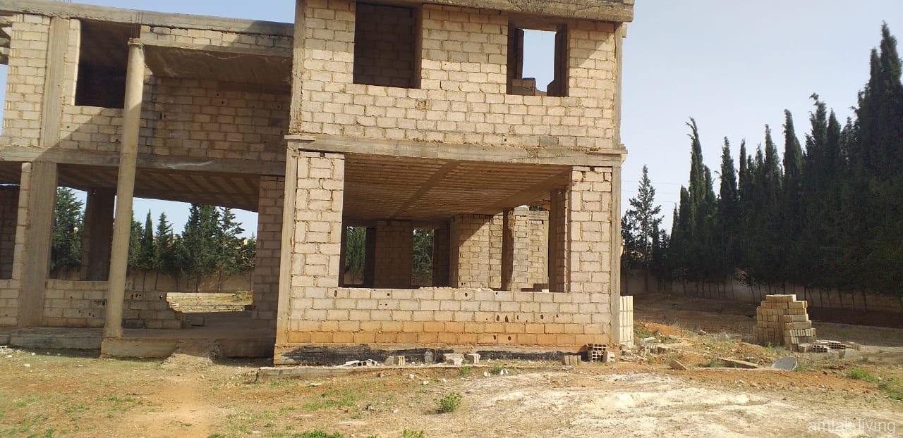 صورة العقار