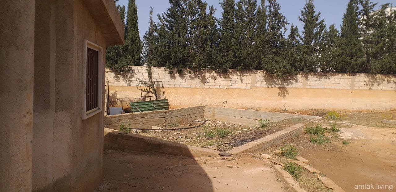 صورة العقار