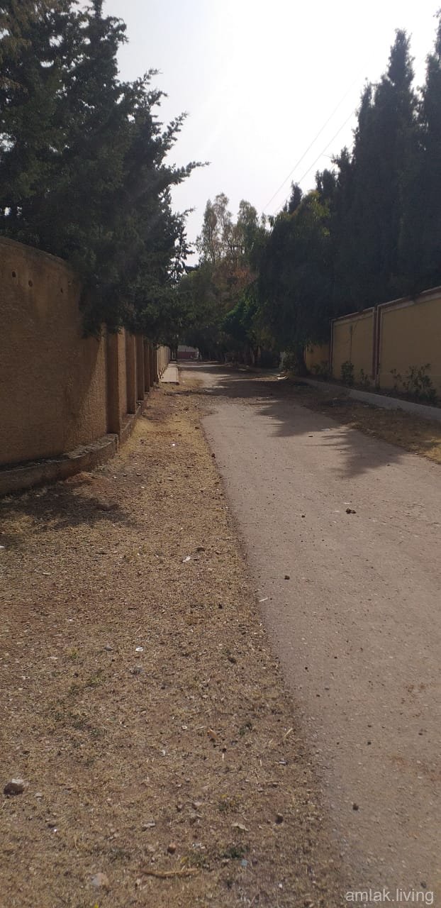صورة العقار
