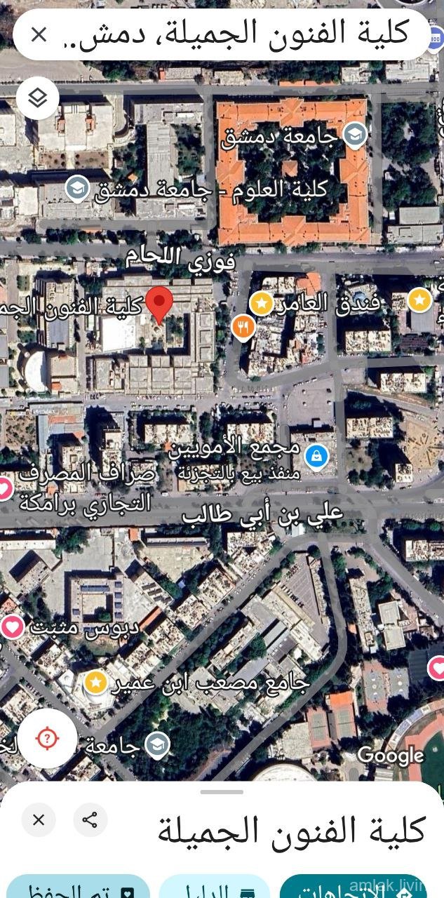 صورة العقار