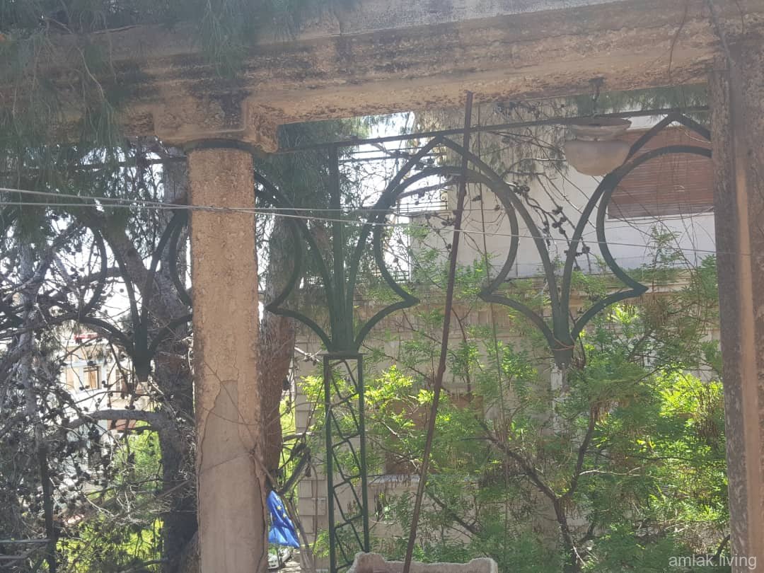 صورة العقار