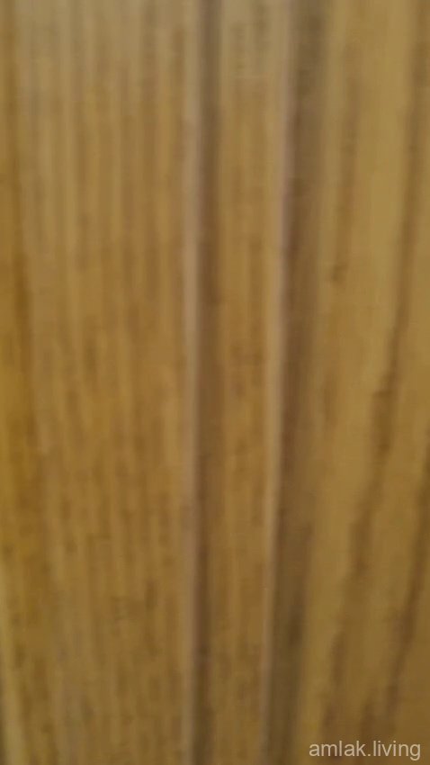 صورة العقار