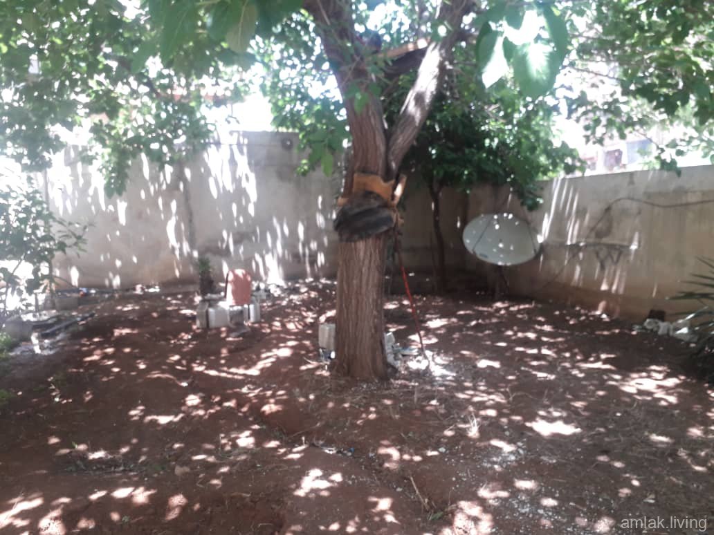 صورة العقار