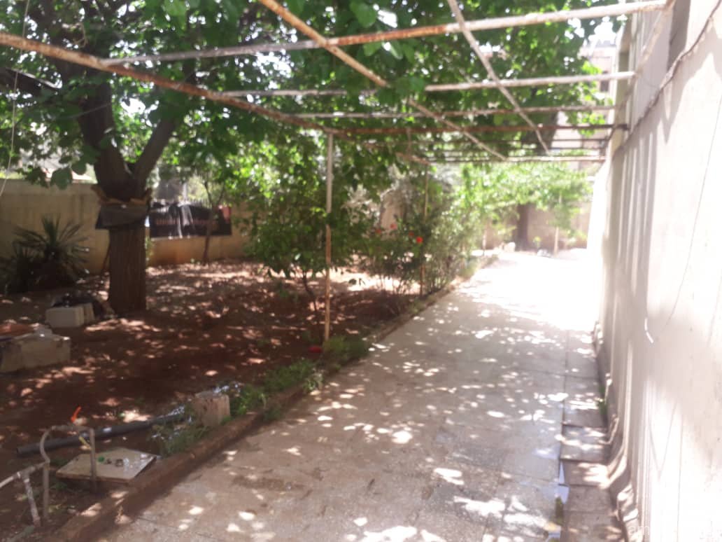 صورة العقار