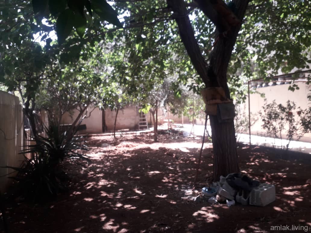 صورة العقار