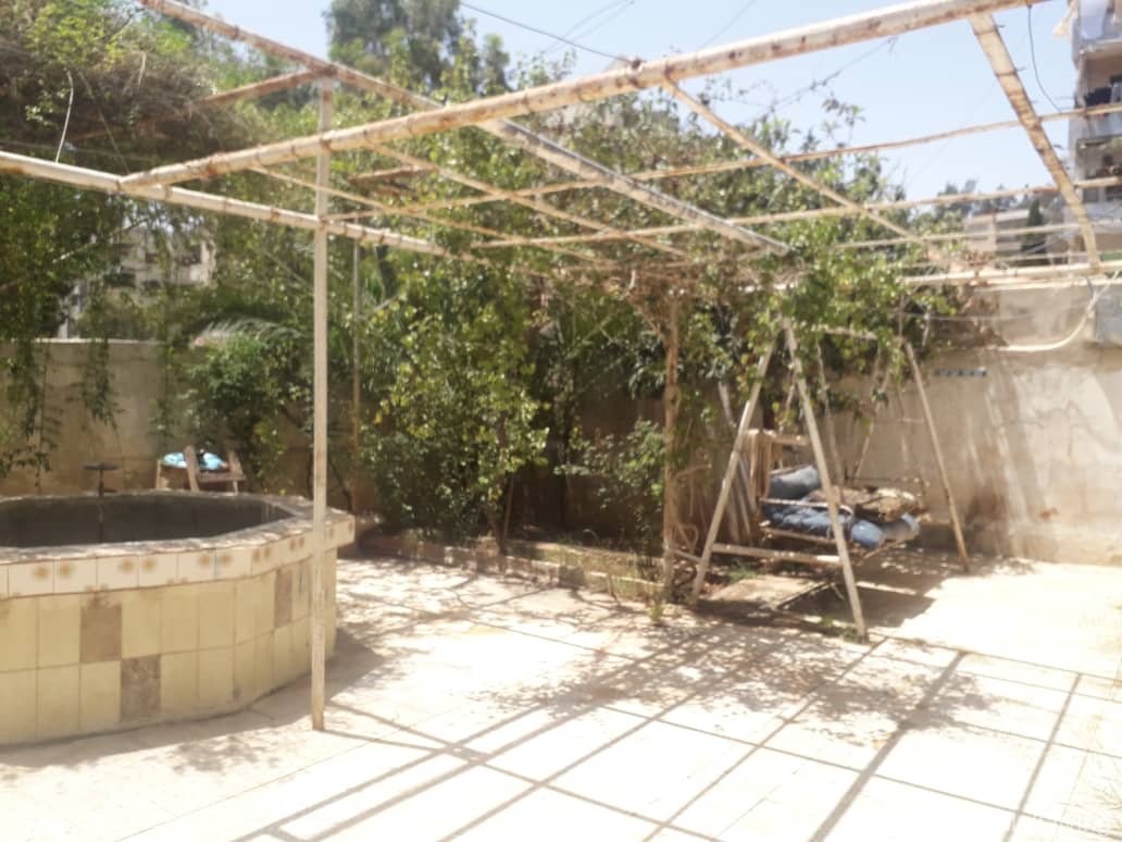 صورة العقار