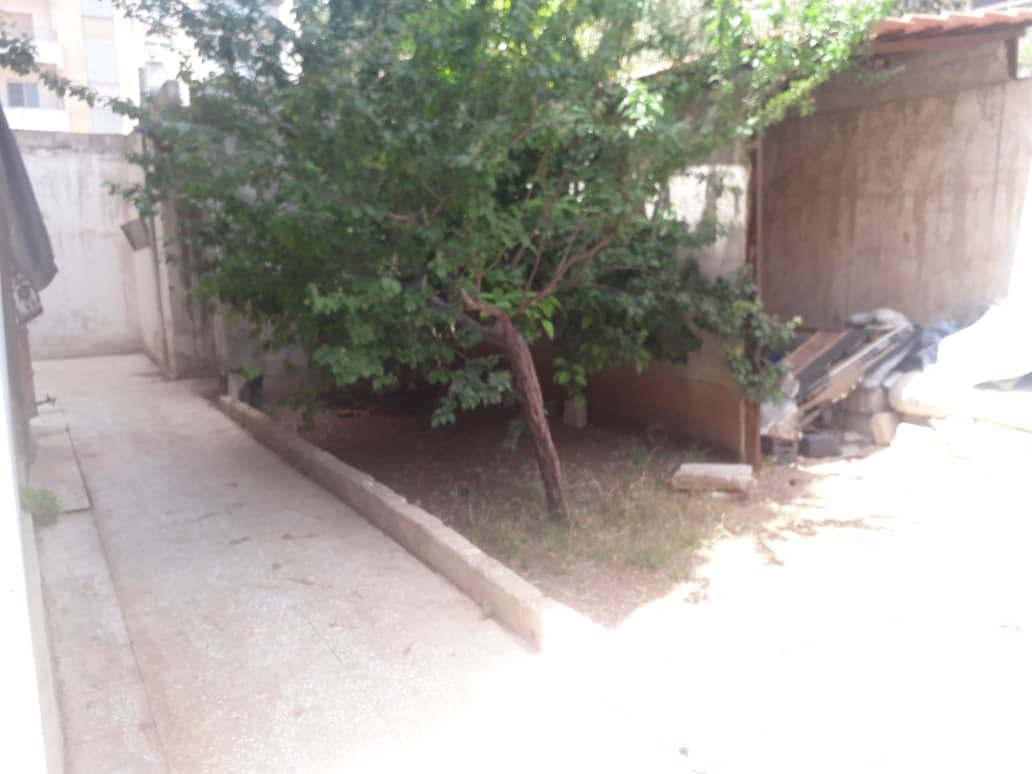 صورة العقار
