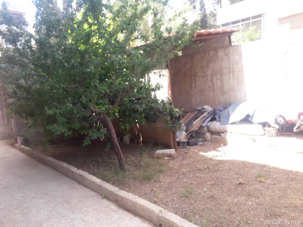 صورة العقار