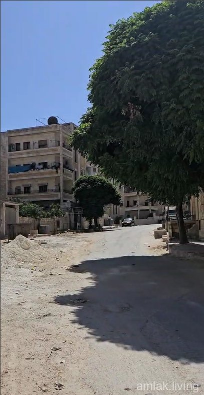 صورة العقار
