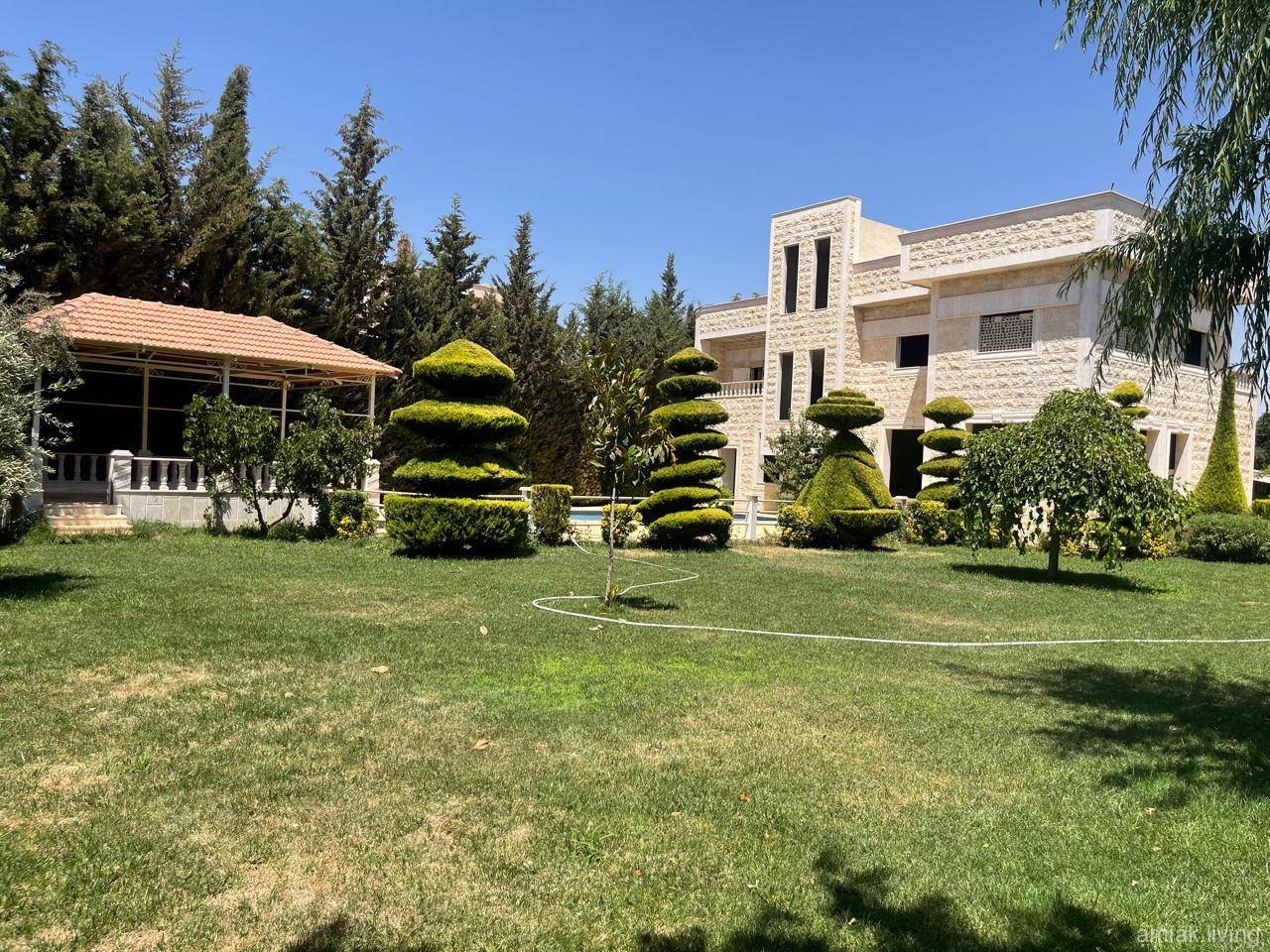 صورة العقار