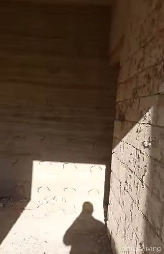 للبيع شقة عظم 120 متر  طابو اخضر 