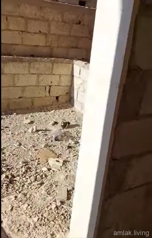 صورة العقار