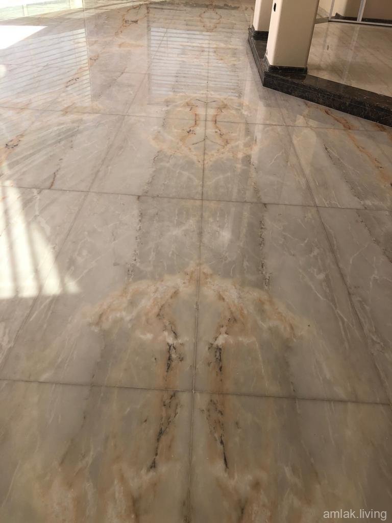 صورة العقار