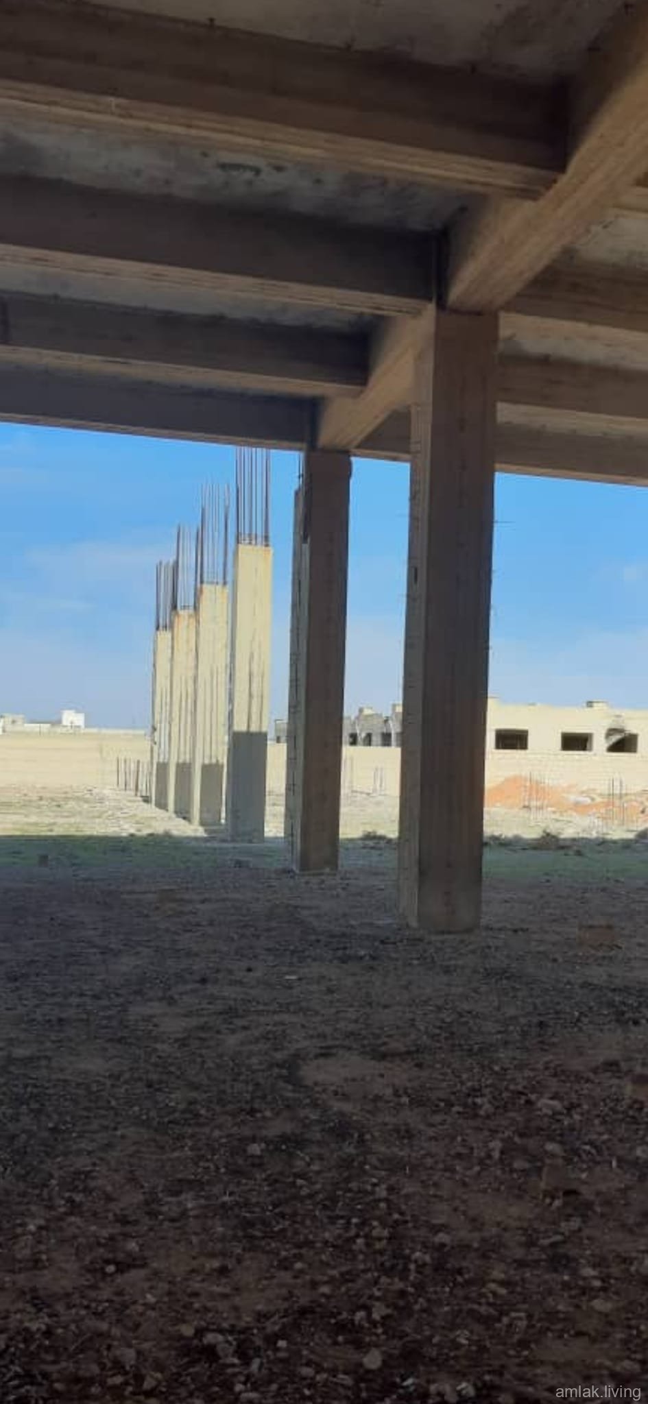 صورة العقار