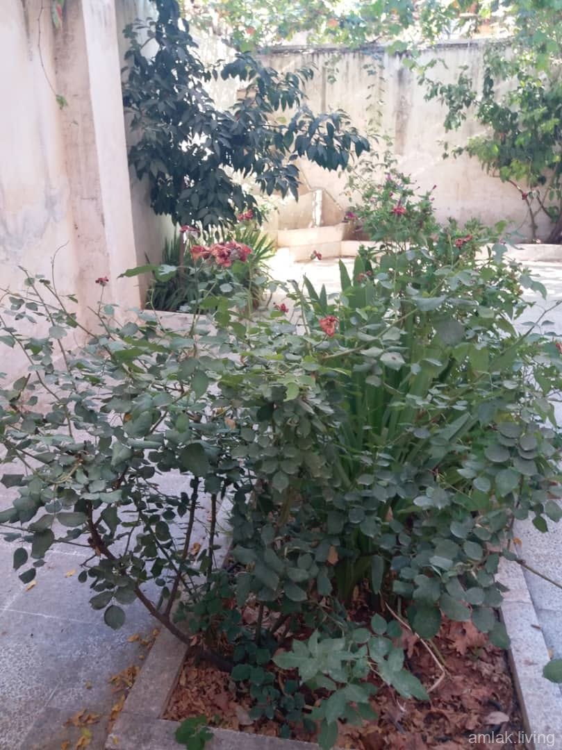 صورة العقار