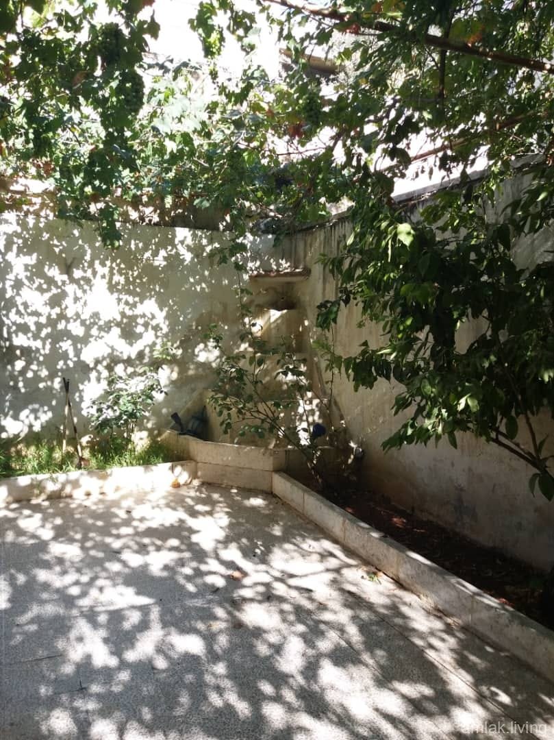 صورة العقار