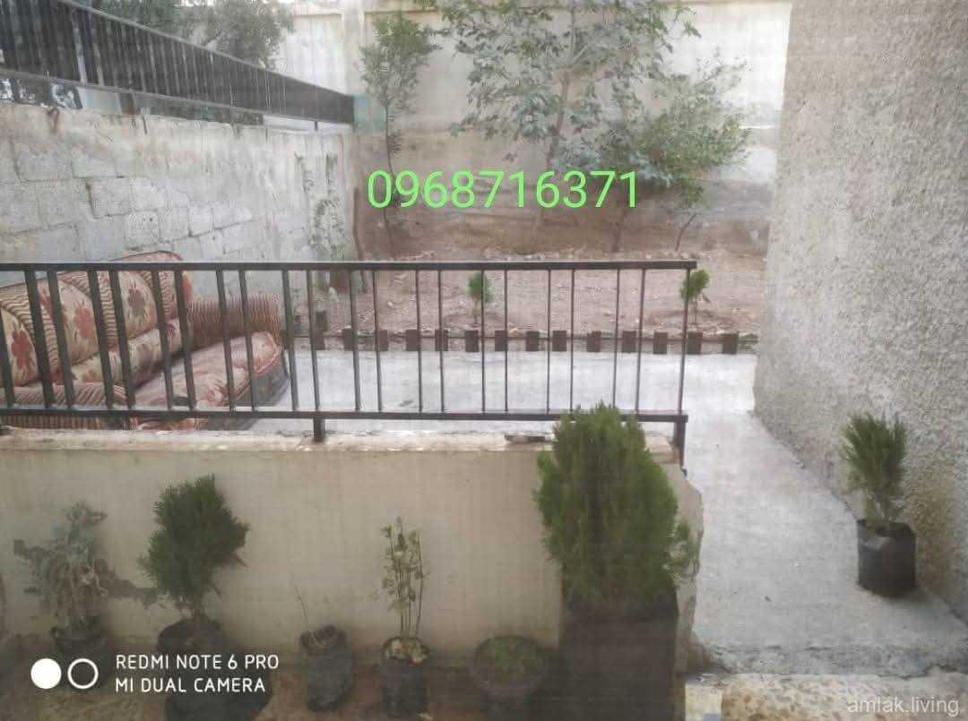 صورة العقار