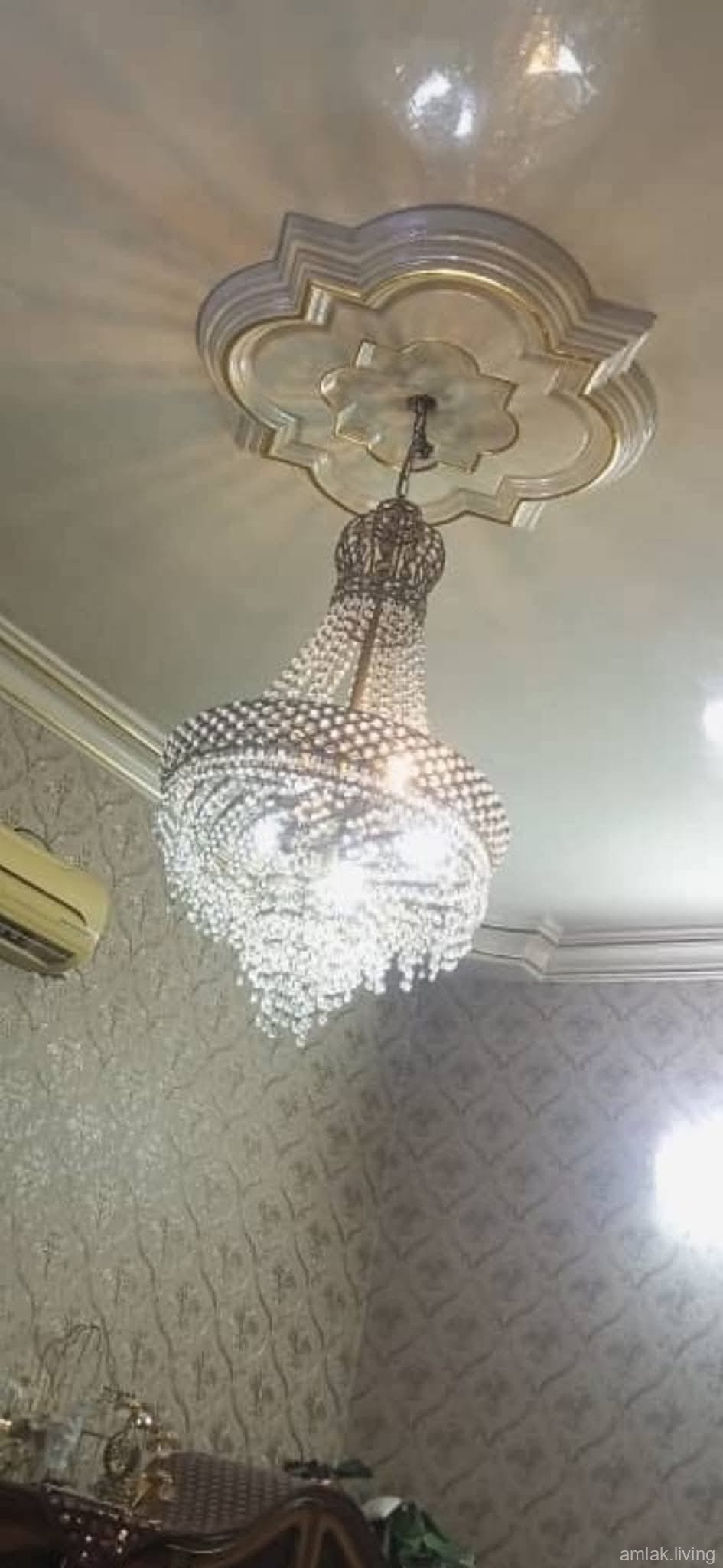صورة العقار