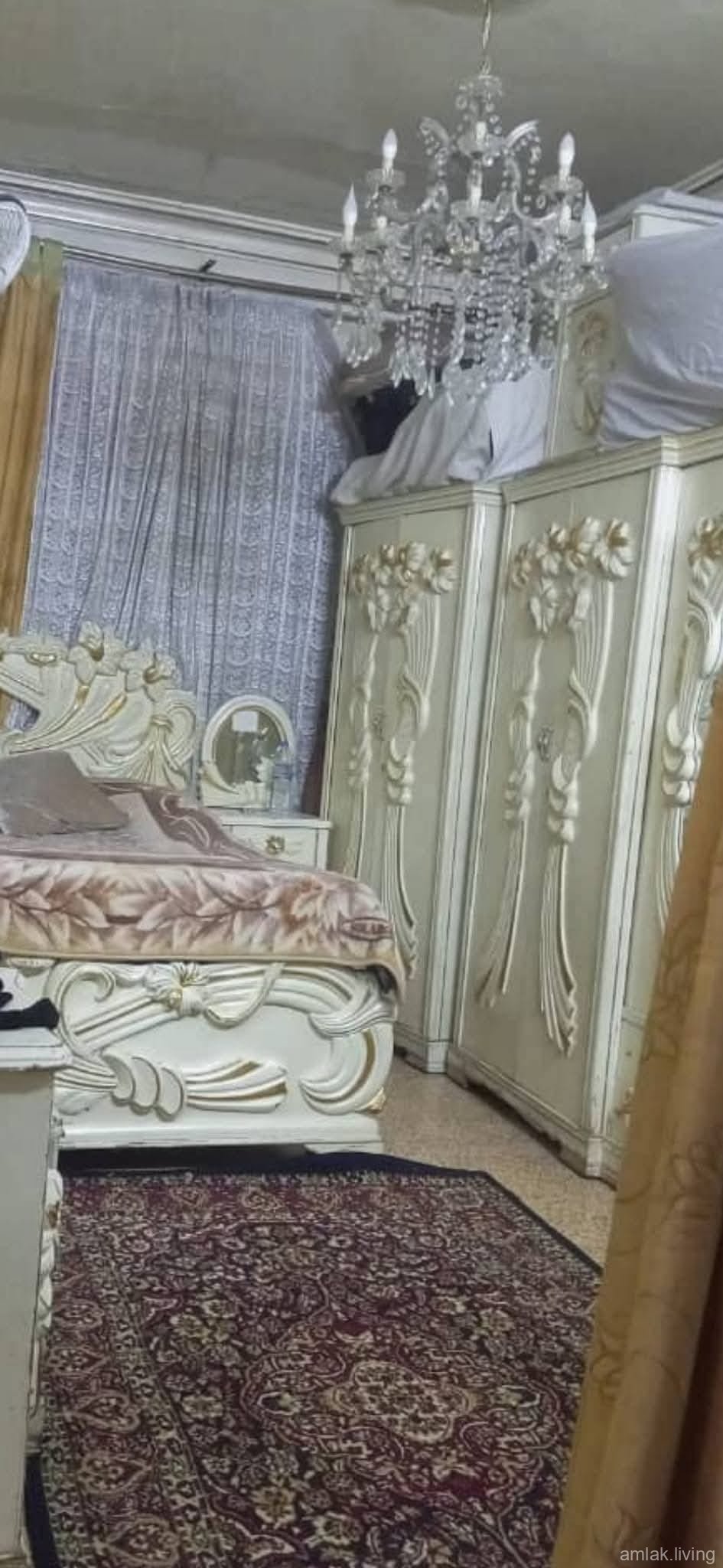 صورة العقار