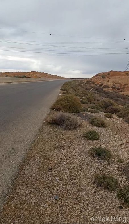 صورة العقار