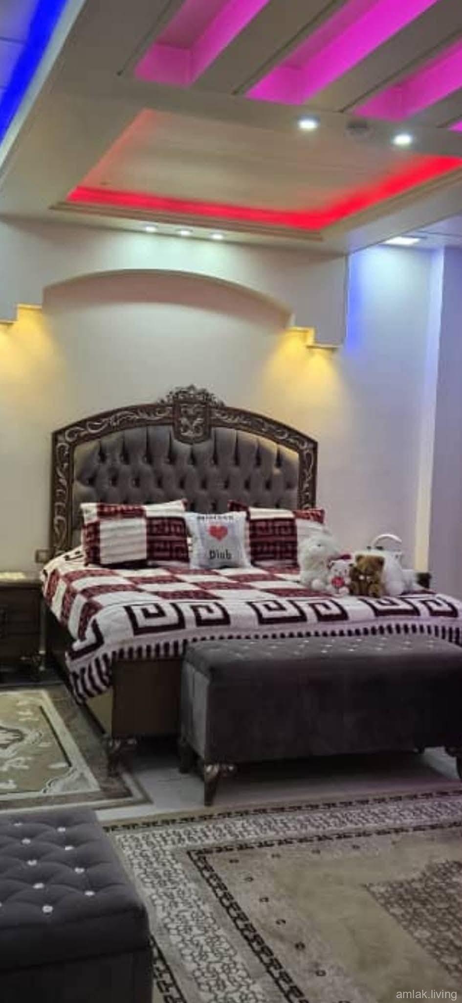 صورة العقار