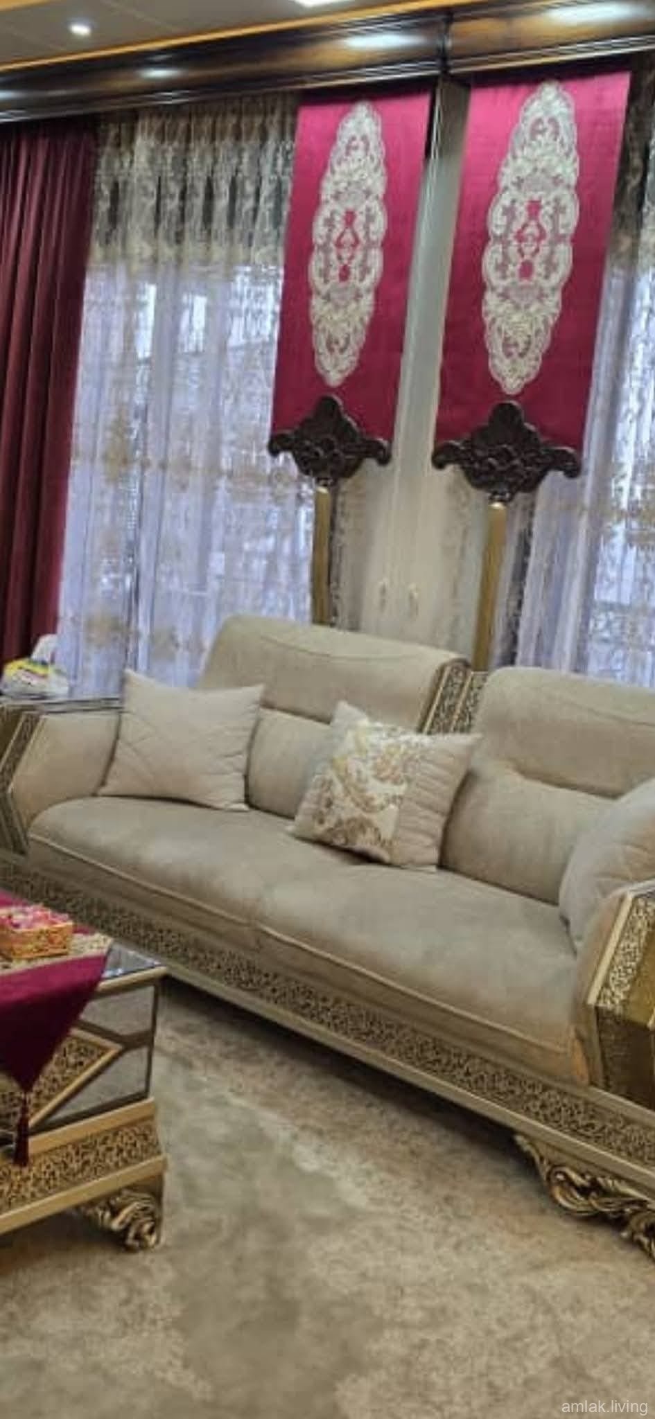 صورة العقار