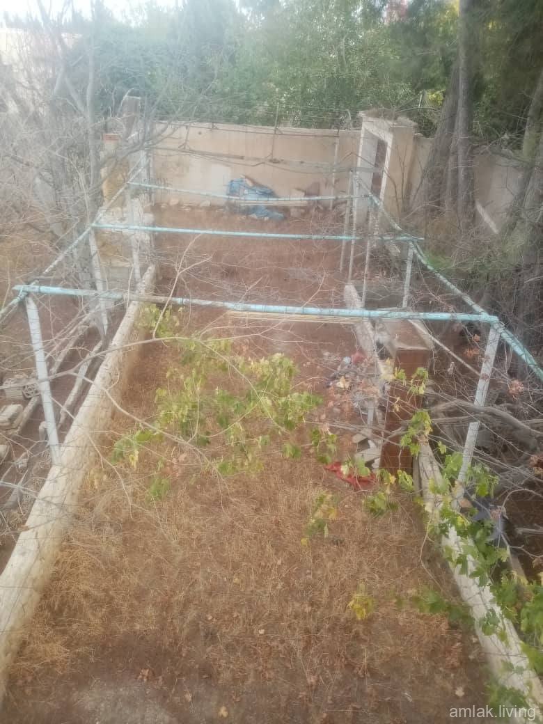 صورة العقار