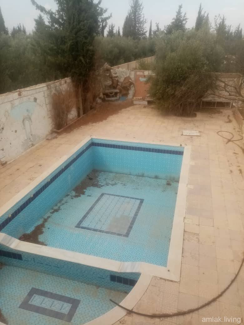 صورة العقار