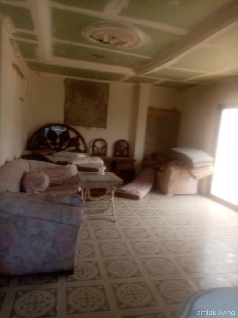 صورة العقار