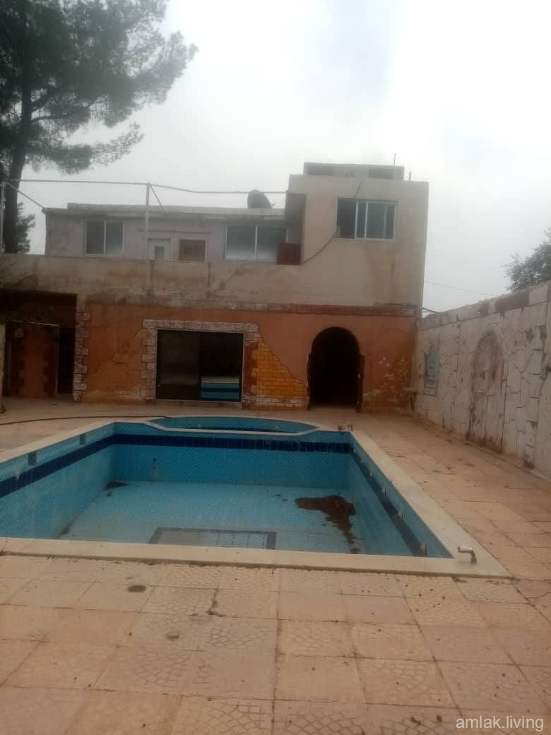 صورة العقار