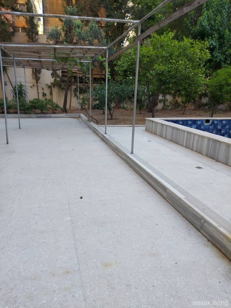 صورة العقار
