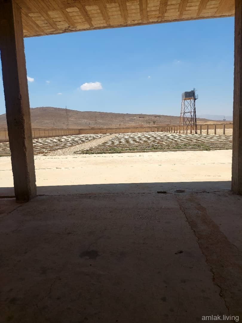 صورة العقار
