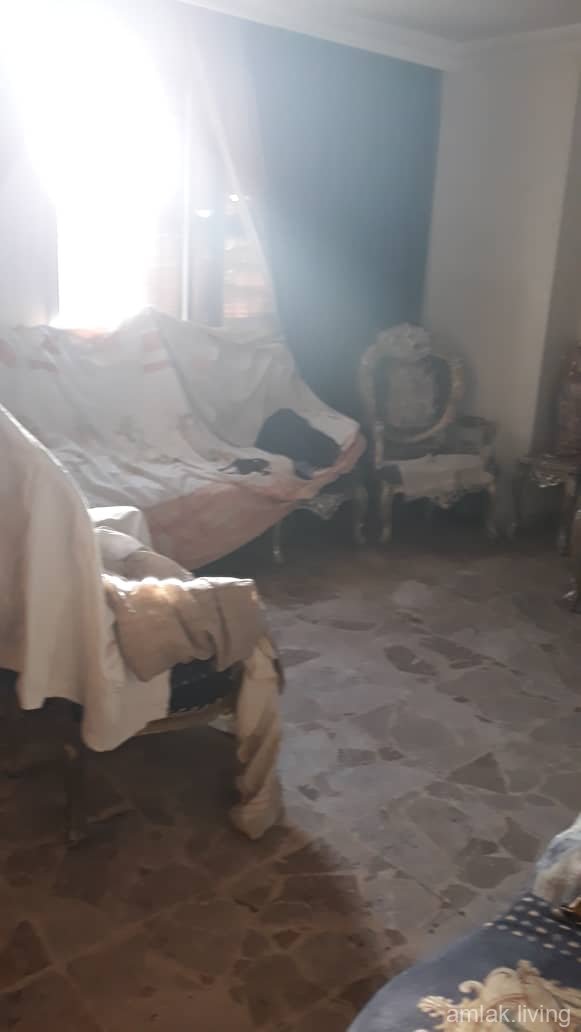 صورة العقار