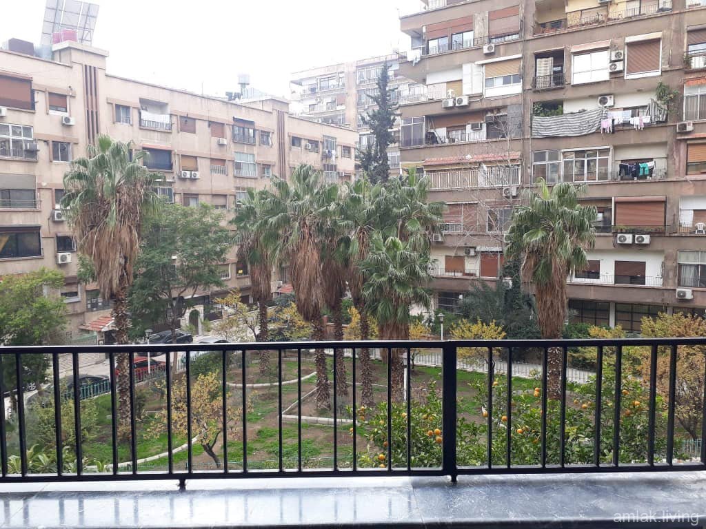 صورة العقار