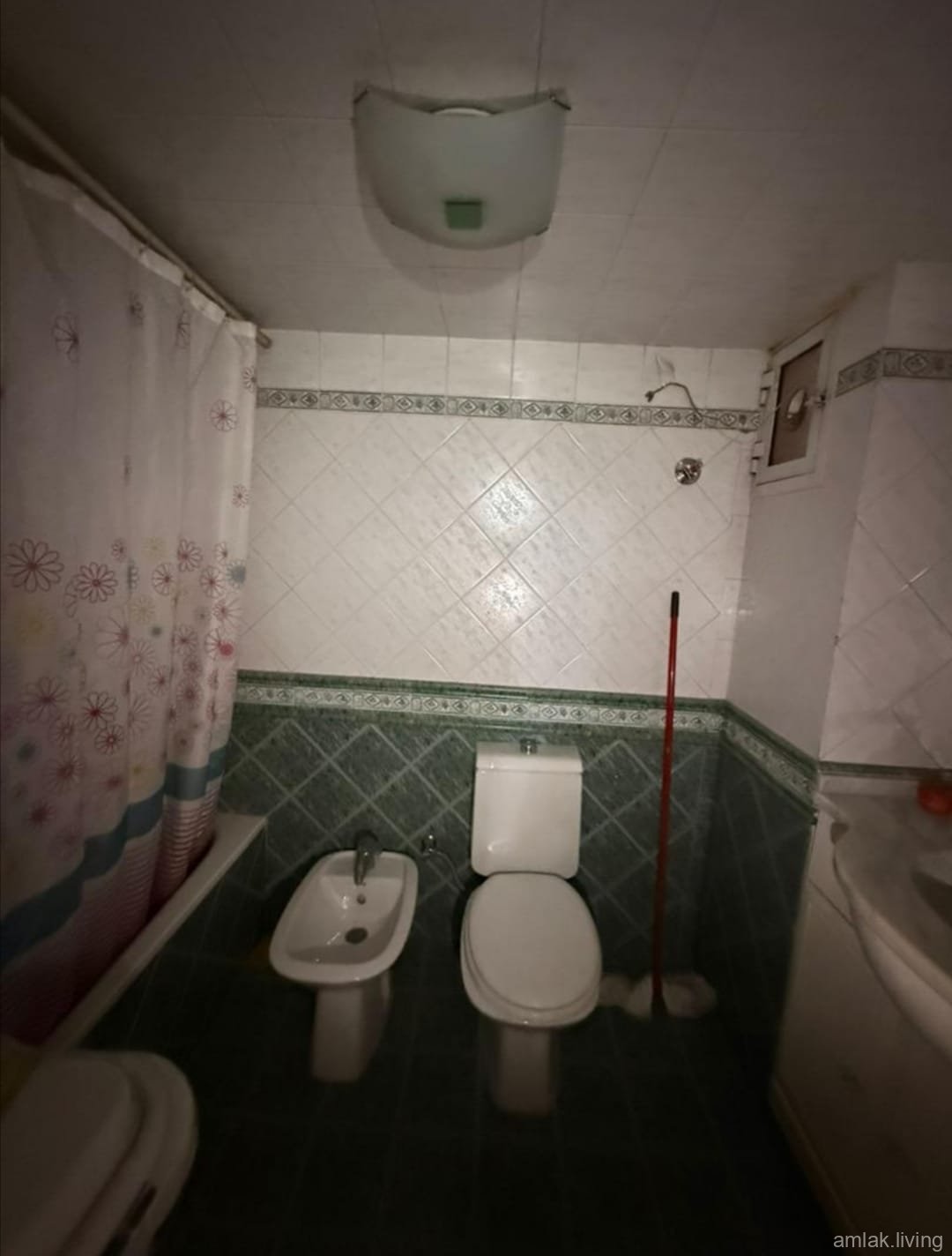 صورة العقار
