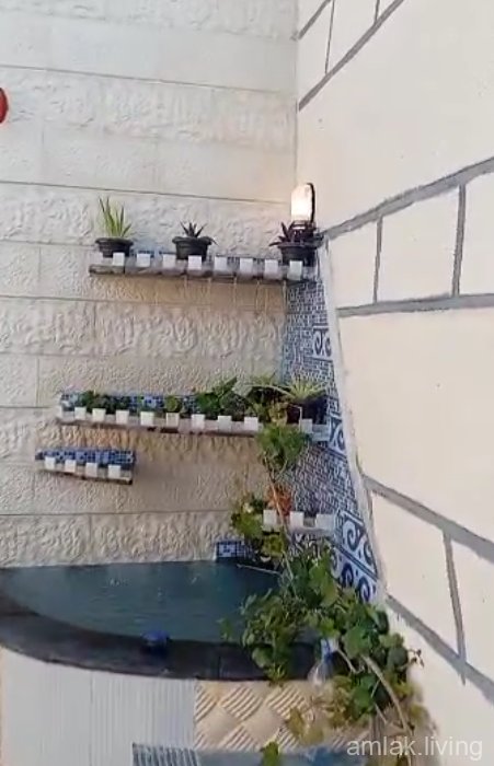 صورة العقار
