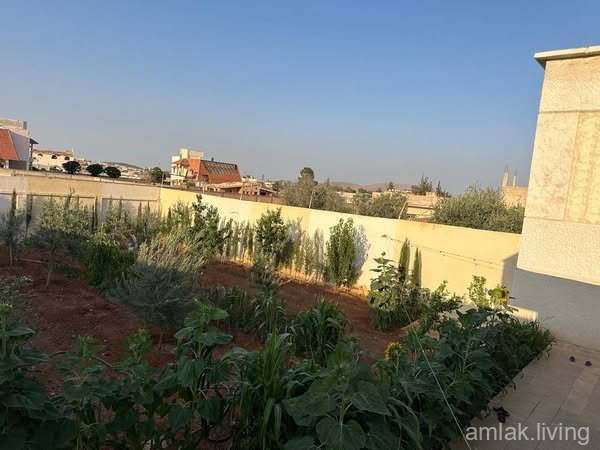 صورة العقار