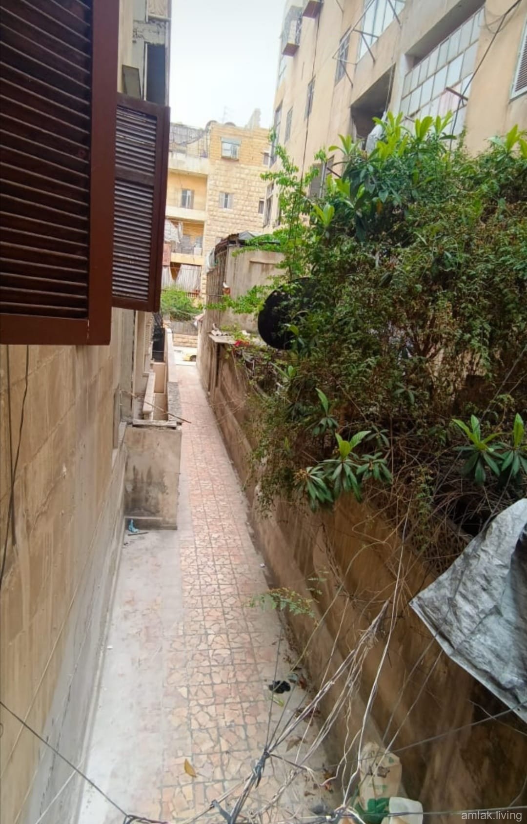 صورة العقار
