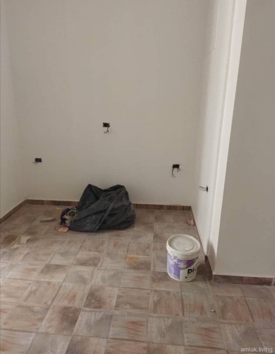 صورة العقار