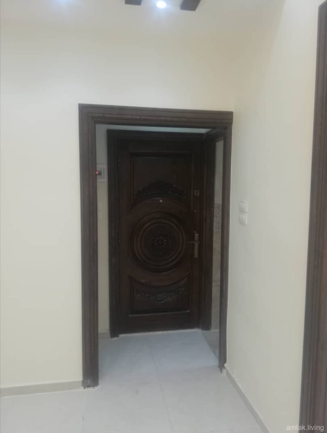 صورة العقار