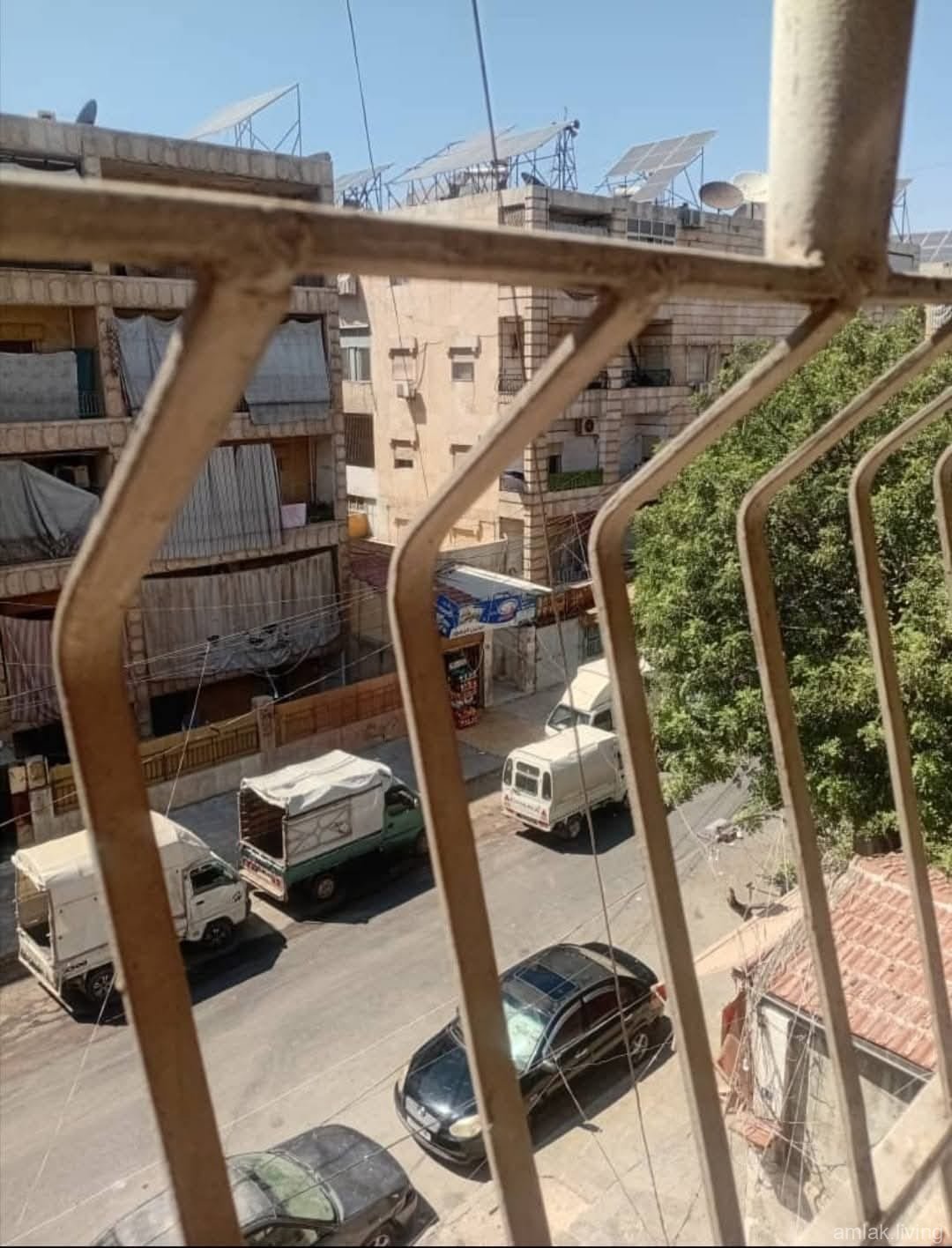 صورة العقار