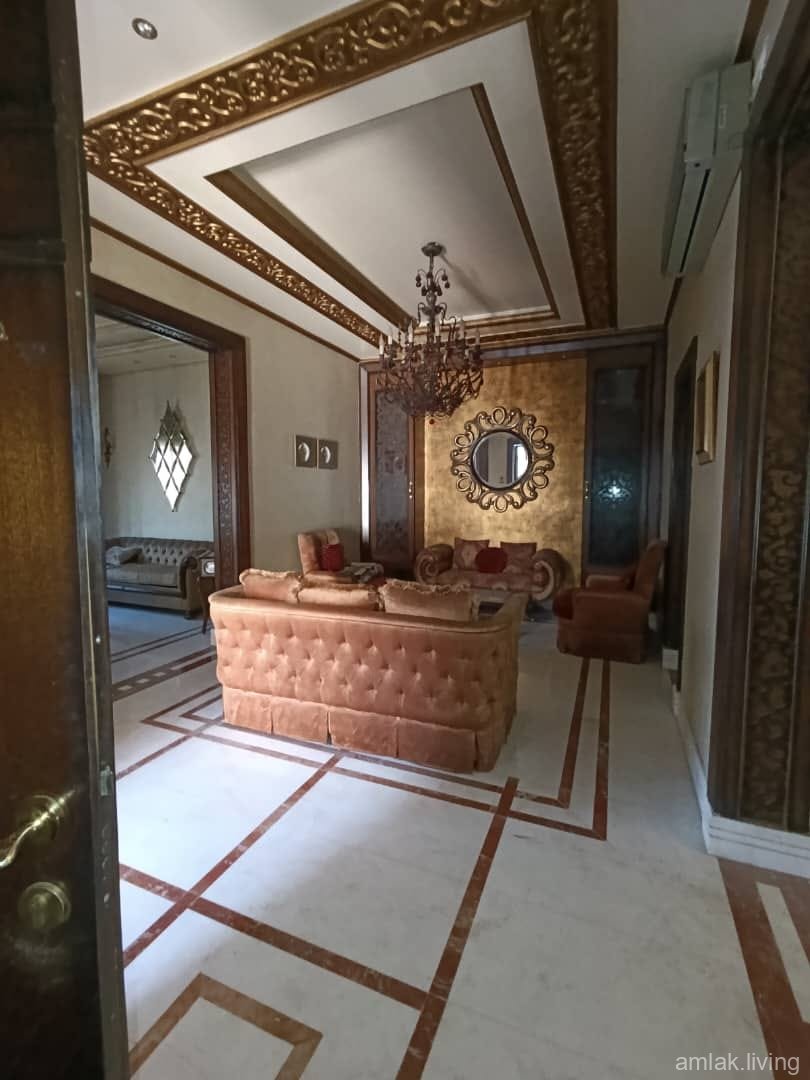 صورة العقار