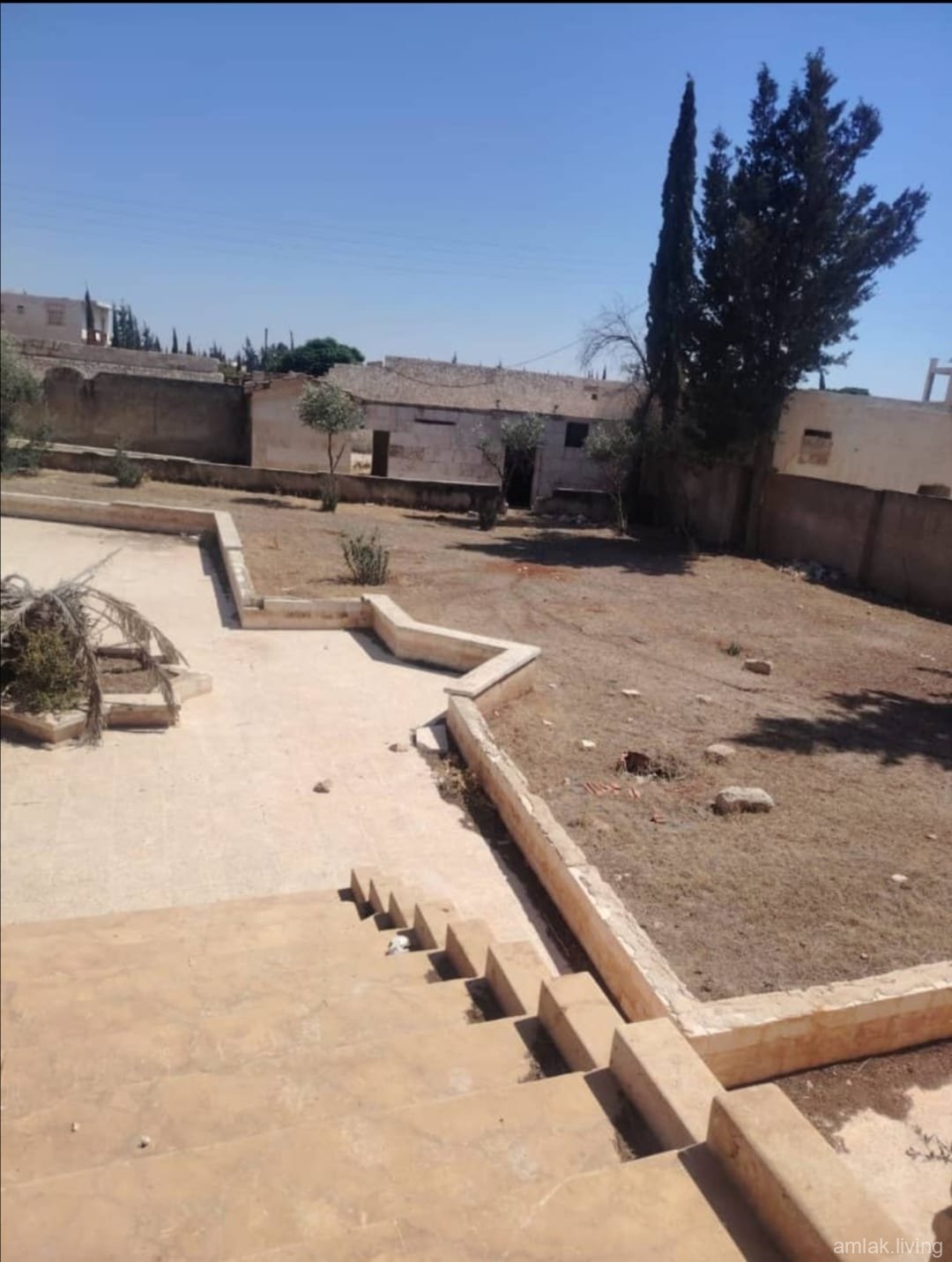 صورة العقار