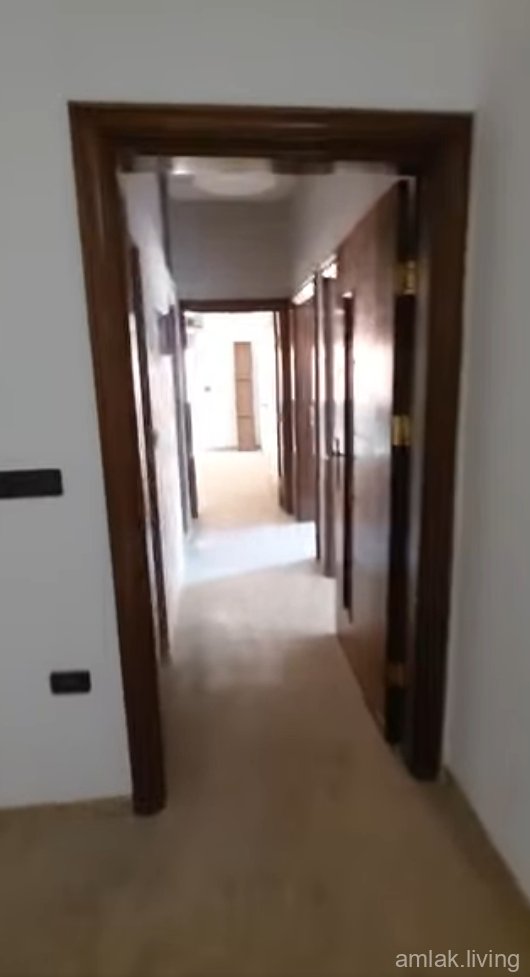 صورة العقار